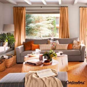 Si quieres consejos para combinar cortinas con un sofá de color gris en esta imagen te enseñas el resultado con cortinas naranjas